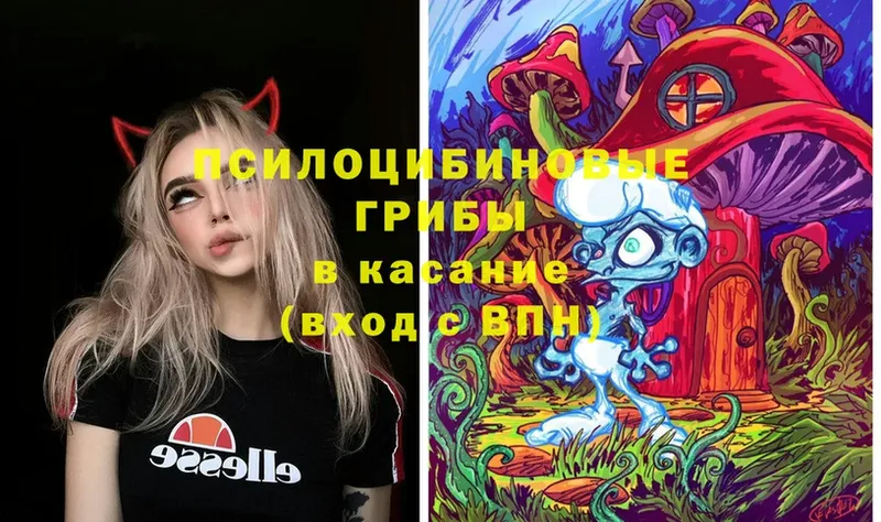 Псилоцибиновые грибы Magic Shrooms Новоузенск